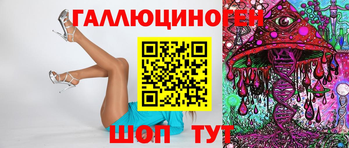 как найти наркотики  Вход с VPN  Псилоцибиновые грибы GOLDEN TEACHER  Качканар  Галлюциногенные грибы Cubensis 